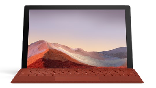 贺州清洁和维护 Surface